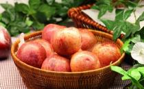 蘋果爛了一塊整個都不能吃了 快了解蘋果爛掉的原因