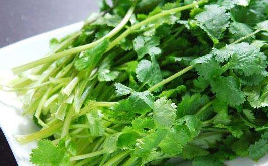 咳嗽不停痛苦不堪 咳嗽時的飲食禁忌