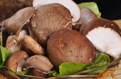 喝咖啡可以減肥是個(gè)誤區(qū)!你真的想多了