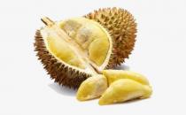 榴蓮的補養和保健作用 榴蓮做菜也可以