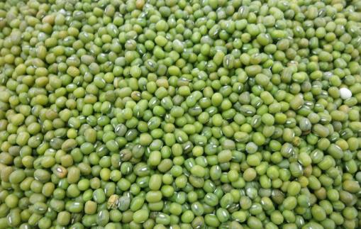 六類食物吃多了易得腎結石 預防腎結石食療方推薦