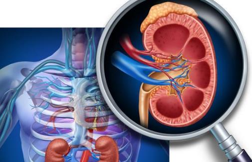 六類食物吃多了易得腎結石 預防腎結石食療方推薦