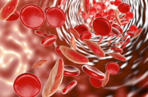 女性容易貧血？日常做到這5點能預防