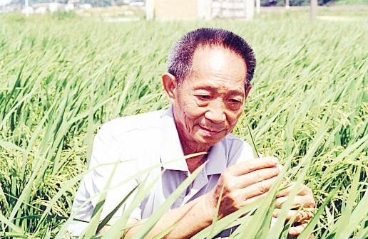 雜交與轉基因的區別 轉基因食品鑒別小妙招