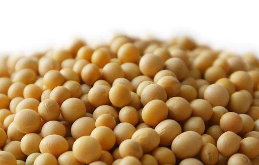 中年人群健康減肥 拒絕中年虛胖的健康飲食