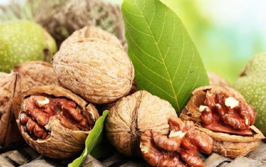 想要健腦就要吃健腦的食物 十大健腦補腦食品