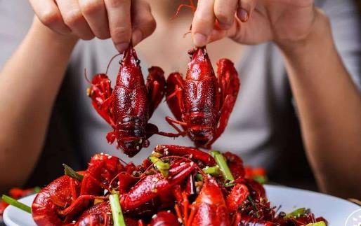 夏季吃下龍蝦的原則注意事項 吃不對會致命