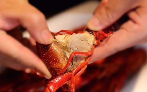 夏季吃下龍蝦的原則注意事項 吃不對會致命