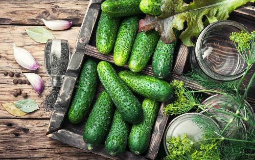黃瓜是水果界蔬菜界美女們心頭好 黃瓜的功效與作用