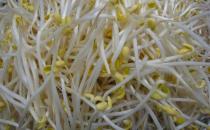 ?挑選新鮮的蔬菜小妙招 再也不用擔心會被菜販騙