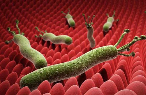 體內有幽門螺桿菌,身體往往有五個標志,占的越多,胃癌