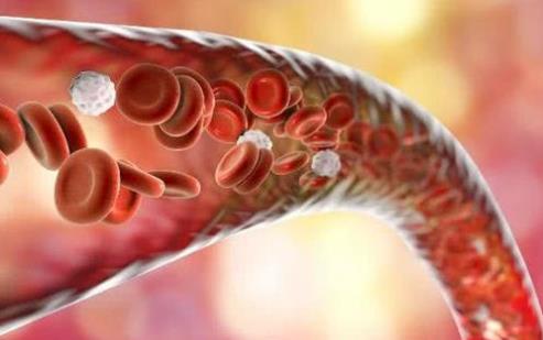 喝醋、喝紅酒、喝魚油能軟化血管？真正管用的其實是它 