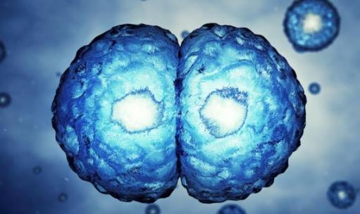 平時不痛不癢，一查癌癥就是晚期？醫生奉勸：7類人需定期