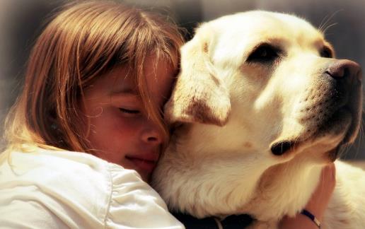 兒童增高主要是補鈣 寶寶增高補鈣食譜
