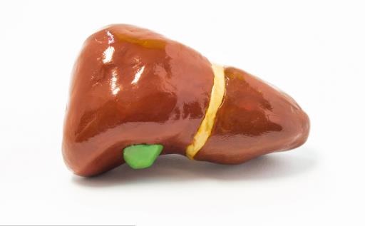 治好脂肪肝從日常做起 脂肪肝減肥要堅持做運動