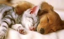 ?不想生出畸形寶寶 這些事情就別做