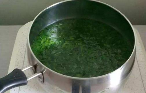 艾葉不只用來泡腳艾灸制作美食 養生功效也不容小覷