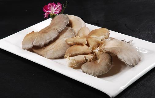 臉上反復長痘痘的6大原因