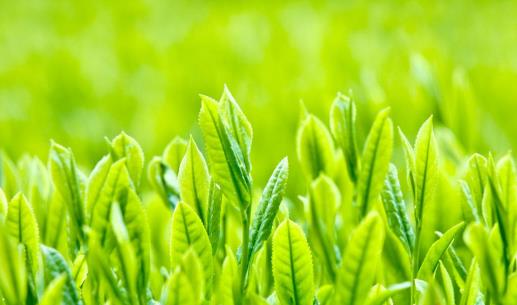 想收回大肚腩，多吃8大清腸小能手，健脾養胃更通便 