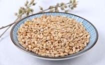 ?炎炎夏日健脾益氣 四道與小麥有關的湯水