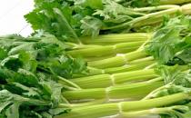 吃芹菜能夠排毒清腸清宿便 教你芹菜做法不再單調