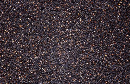 黑芝麻是“滋補圣藥”，養肝腎生黑發？如此神奇嗎？還是