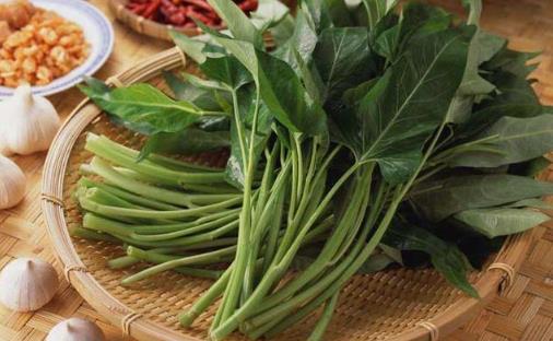 空心菜用油炒過后顏色發黑，這是“有毒物質”嗎？營養師