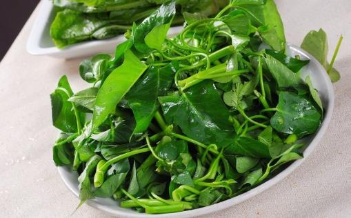 空心菜用油炒過后顏色發黑，這是“有毒物質”嗎？營養師