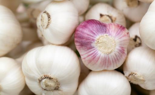 大蒜放久之后腐爛、發(fā)芽不能吃，教你一招，讓大蒜3個(gè)月不