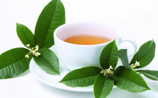 夏季養生重在養心 防止情緒中暑