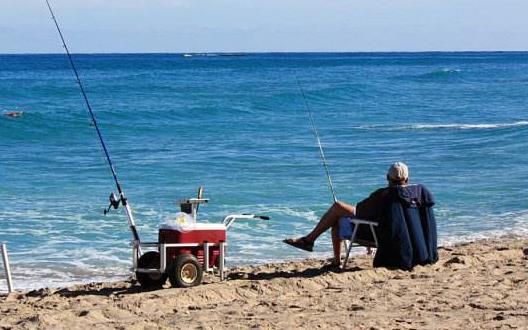 夏季老人多吃以下這6種瓜 降溫養胃促進新陳代謝