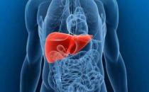 養護肝臟健康 睡前常用四物泡水喝