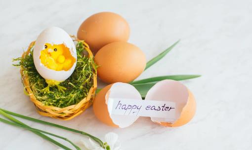 雞蛋殼有什么用處 合理利用雞蛋殼變廢為寶