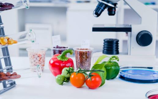 轉基因技術的安全性分析 生產轉基因食品的原因