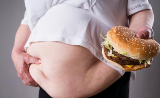 肥胖最傷這五個器官 你都知道嗎