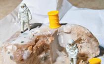 減少食物浪費(fèi)同時能夠保護(hù)身體健康 光盤行動在繼續(xù)