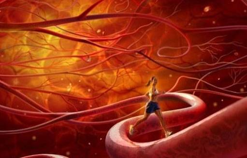 血管是人的生命的通道 養護血管的飲食調理