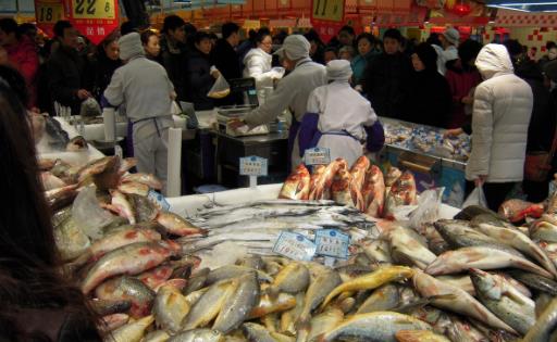 去超市購買食品時 要注意那些問題