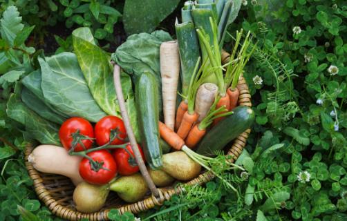 經常性疲憊怎么辦 多吃這些食物恢復元氣