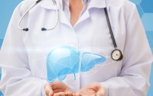 調理肝臟護肝養(yǎng)肝 食療是一種好的保健方式