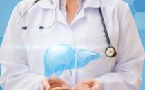 調理肝臟護肝養肝 食療是一種好的保健方式