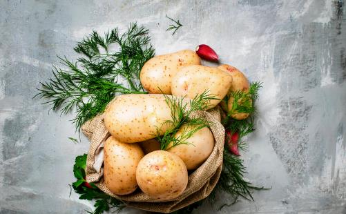 注意！誤食這些蔬菜可能會中毒我們的一日三餐中總是缺少