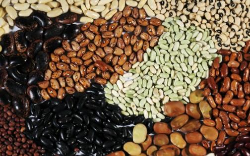 生發食物有哪些 食療六法促生發