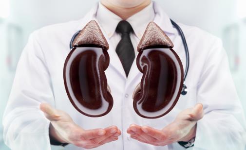 胡亂吃藥小心傷害你的腎 腎臟不好的日常調理分析