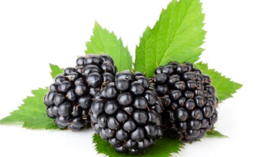 補(bǔ)腎當(dāng)然是食療補(bǔ)腎最安全 常見的滋陰補(bǔ)腎食物