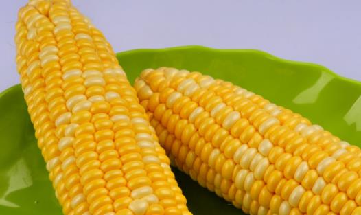 出現(xiàn)內(nèi)分泌失調 可以調理內(nèi)分泌失調的食物