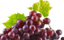 擁有好肌膚 日常飲食多吃10種護膚效果極佳的食物