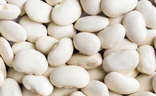 濕氣太重皮膚油膩 10種有強效祛濕功效的食物