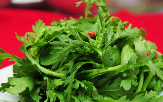 茼蒿素有皇帝菜的美譽 茼蒿的營養價值 