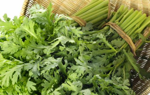 茼蒿素有皇帝菜的美譽 茼蒿的營養價值 